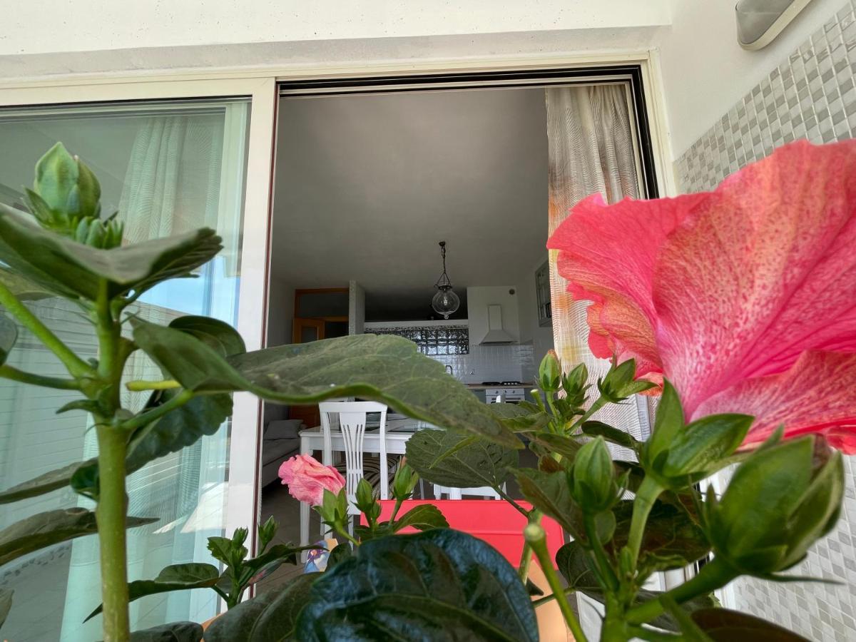 A Casa Di Silvia Apartment Gambassi Terme Exterior photo
